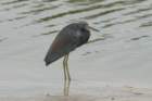 dsc08291_small.jpg