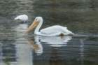 dsc08322_small.jpg