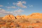 dsc04238_small.jpg