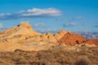 dsc04254_small.jpg