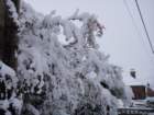 dsc00890_small.jpg