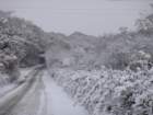 dsc00912_small.jpg