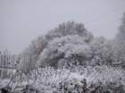 dsc00913_small.jpg