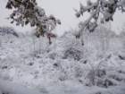 dsc00914_small.jpg