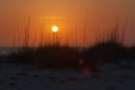 sunset_20090429_sar_steve_fl_dsc02788_small.jpg