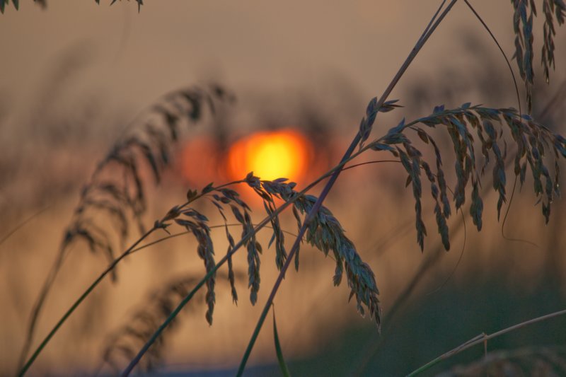 sunset_20100804_st_pete_beach_dsc04145.jpg